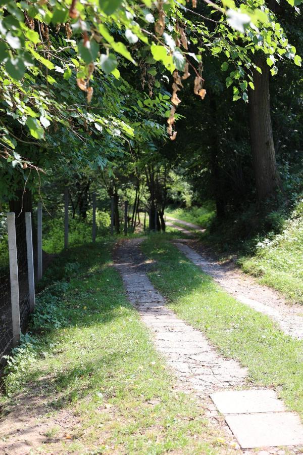 Agroturystyka U Babci Czchow Exteriér fotografie