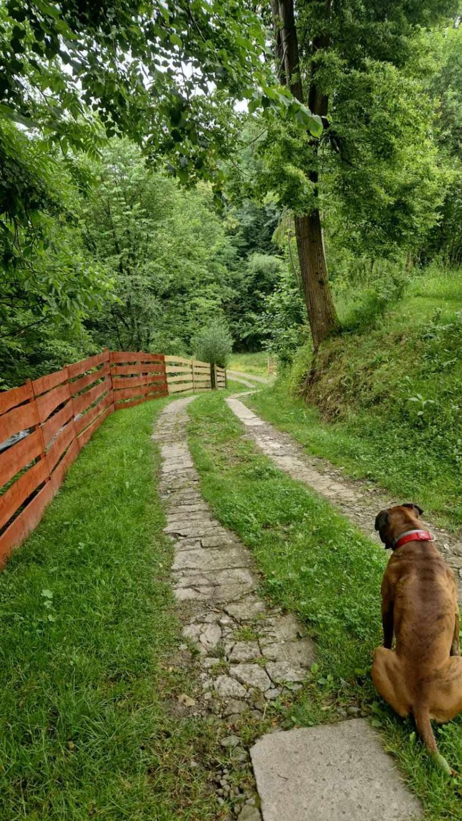 Agroturystyka U Babci Czchow Exteriér fotografie